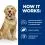 Hill's Prescription Diet Canine j/d 2 x 12kg