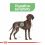 Royal Canin Maxi Digestive Care briketi za velike pse z občutljivo prebavo 2 x 12 kg