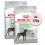 Royal Canin Maxi Digestive Care briketi za velike pse z občutljivo prebavo 2 x 12 kg