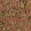 TetraMin Flakes 10 L / 2,1 kg