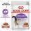 Royal Canin Sterilised Gravy vrečka hrane za kastrirane mačke v soku 24 x 85 g