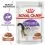Royal Canin Sterilised Gravy vrečka hrane za kastrirane mačke v soku 24 x 85 g
