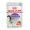 Royal Canin Sterilised Gravy vrečka hrane za kastrirane mačke v soku 24 x 85 g