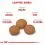 ROYAL CANIN X-SMALL ADULT 8+ 1,5 kg