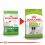 ROYAL CANIN X-SMALL ADULT 8+ 1,5 kg