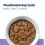 Hill's Prescription Diet Canine Digestive Care Low Fat i/d Chicken 354 g