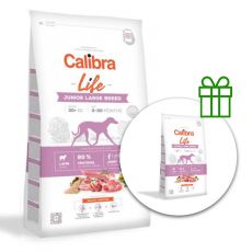 Calibra Dog Life Junior Large Breed Lamb 12 + 2,5 kg BREZPLAČNO