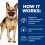 Hill's Prescription Diet Canine Gastrointestinal Biome 1,5 kg