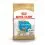 Royal Canin Junior Chihuahua - 1,5 kg