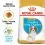 ROYAL CANIN CAVALIER KING CHARLES JUNIOR &ndash; 1,5 kg