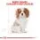 ROYAL CANIN CAVALIER KING CHARLES JUNIOR &ndash; 1,5 kg