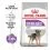 ROYAL CANIN MINI STERILISED ADULT &ndash; 8 kg