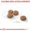 ROYAL CANIN MINI STERILISED ADULT &ndash; 8 kg