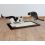 Mačji praskalnik iz sisala in pliša - 70x45 cm 