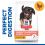 Hill's Science Plan Canine Perfect Digestion Puppy Medium Chicken 2 x 14 kg