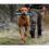 Igrača za psa Ruffwear Gnawt-a-Stick Red Sumac rdeča