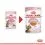 Royal Canin Kitten Sterilised vrečka hrane v soku za kastrirane mačje mladiče 12 x 85 g