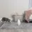 PetSafe Zoom laserska igrača za mačke