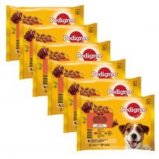 Pedigree Mixed izbor hran v želatini 6 x (4 x 100 g)