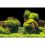 Ozadje za akvarij ROCK/PLANTS S - 60 x 30 cm