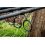 Shimano palica Tribal TX-5A 3,66mm/3lb 2 dela