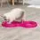 Trixie Flashing Ball Race - zložljiva steza za mačke 65 x 31 cm