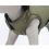 Jachetă impermeabilă pentru câini Trixie Arlay S 36 cm kaki