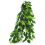 Ficus silk medium - rastlina za terarij, 55cm