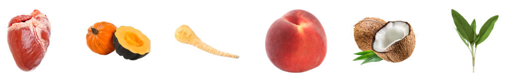 image_19.png