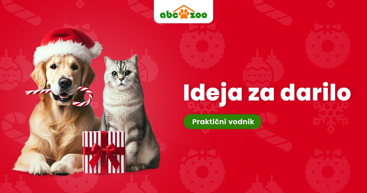 Ideja za darilo: praktični vodnik za božično presenečenje