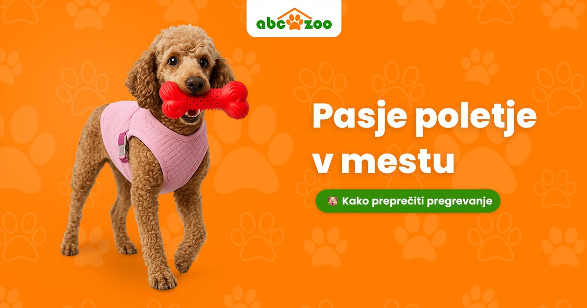 Vročinsko poletje v mestu: Ko senca in voda nista več dovolj