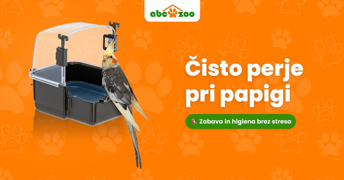 Kako pravilno kopati papigo brez stresa? 4 preprosti in preverjeni načini