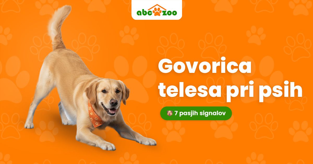 Govorica telesa psov: Kako brati 7 ključnih signalov