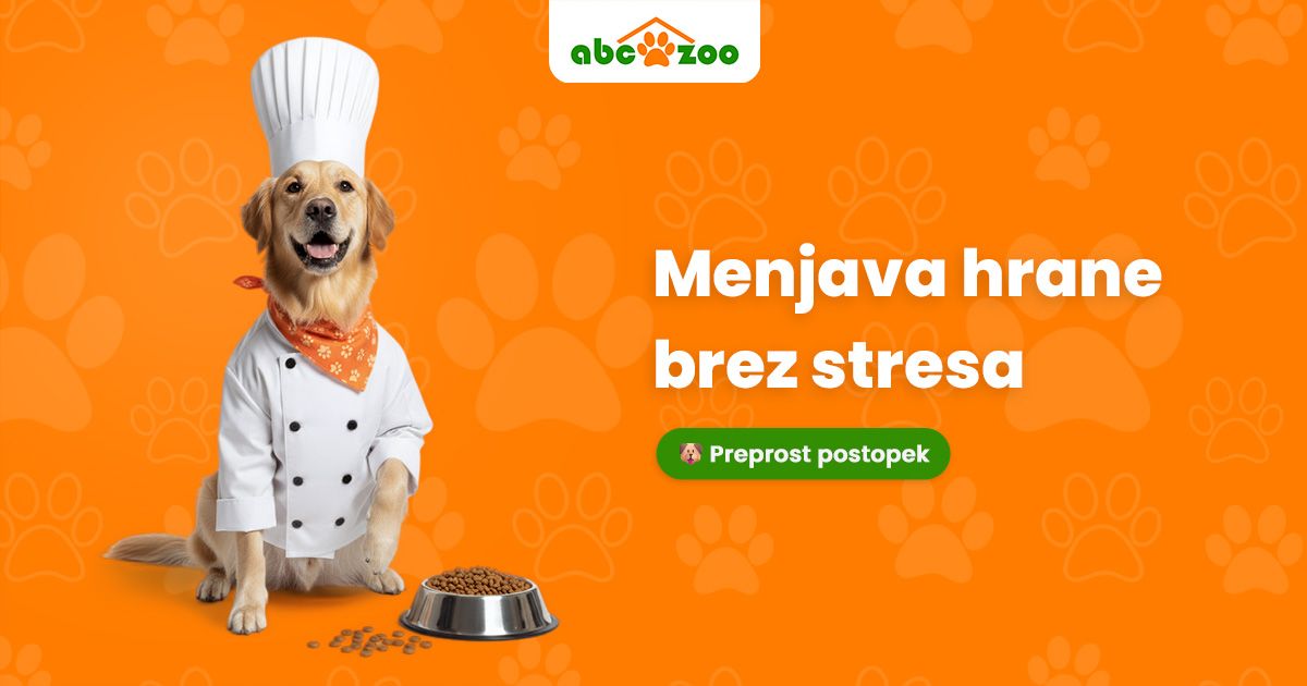 Kako brez težav preiti na novo hrano za psa ali mačko?
