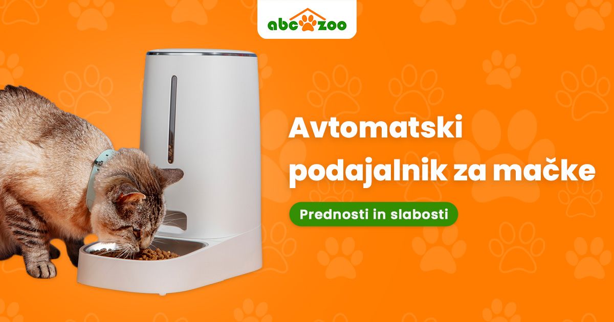 Kakšne so prednosti in slabosti avtomatskega podajalnika za mačke?