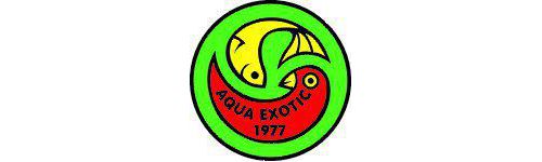 AQUA EXOTIC