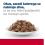 Hill's Prescription Diet Feline c/d Urinary Multicare Stress Chicken 36 x 85 g