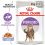 Royal Canin STERILISED in Jelly žele v vrečici 24 x 85 g