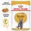 Royal Canin British Shorthair vrečke hrane  v soku za britanske kratkodlake mačke 24 x 85 g
