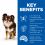 Hill&acute;s Science Plan Canine Adult Light Small & Mini Chicken 6 kg