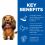 Hill's Science Plan Canine Adult Oral Care Medium Chicken 12kg