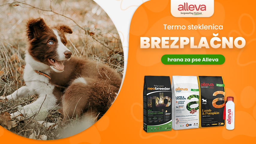 Alleva termo steklenica brezplačno