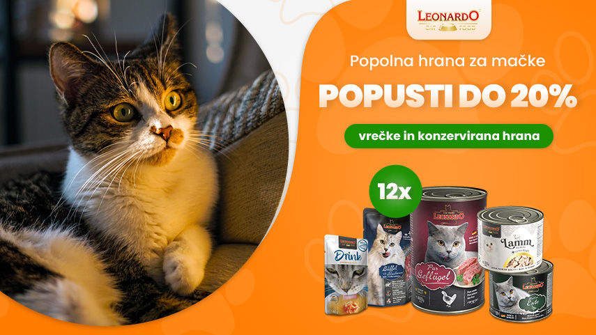 Leonardo - popust do 20%