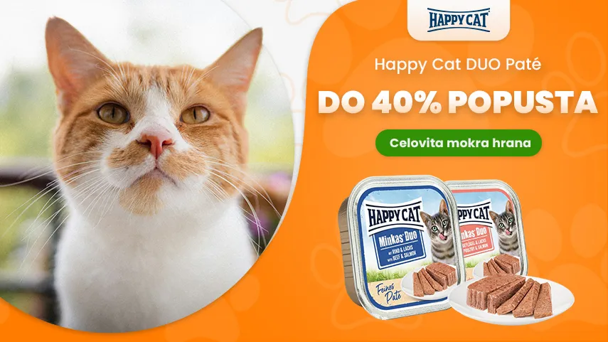 Happy Cat - popust do 40%