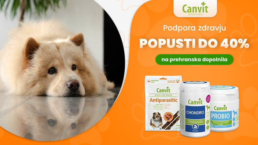 Canvit - popust do 40%