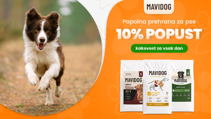 Mavidog akcija