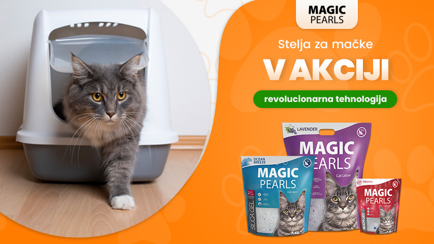 Magic Pearls akcija