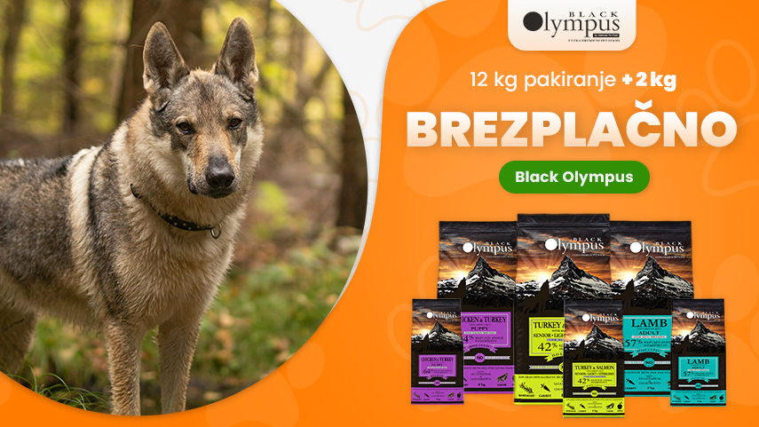 Black Olympus 12+2 kg brezplačno
