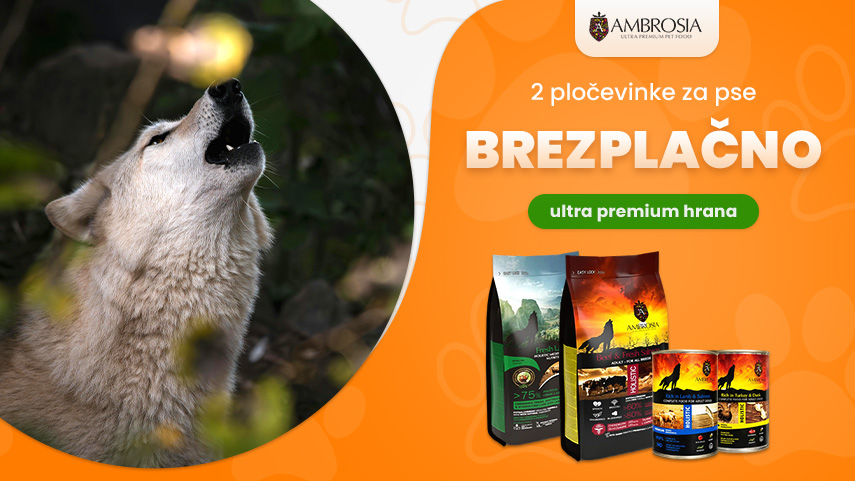Ambrosia 2 pločevinke brezplačno