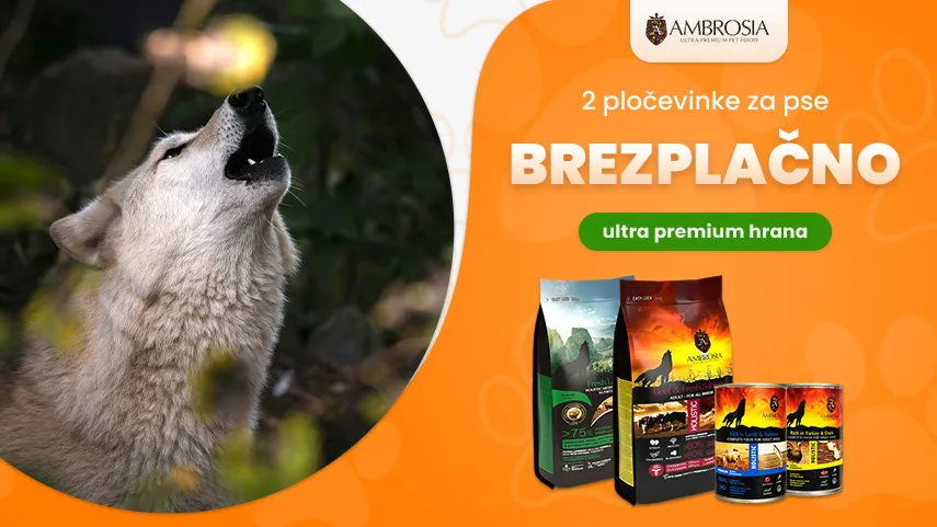 Ambrosia 2 pločevinke brezplačno